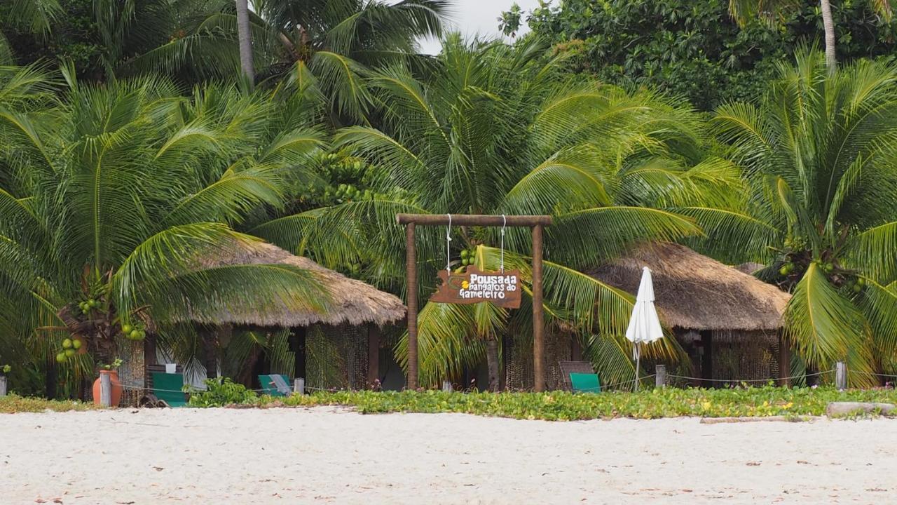 Bangalos Do Gameleiro Praia dos Carneiros Esterno foto